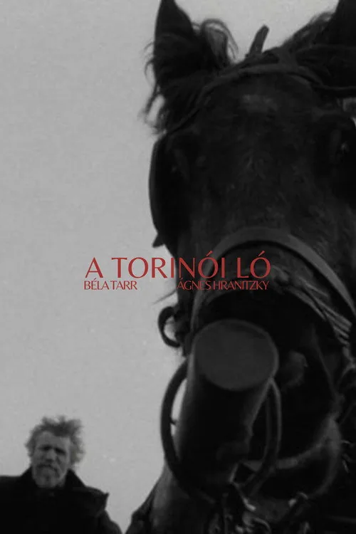 Torino Atı film afişi
