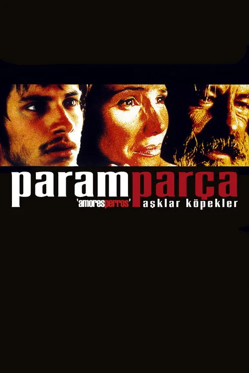Paramparça Aşklar Köpekler film afişi