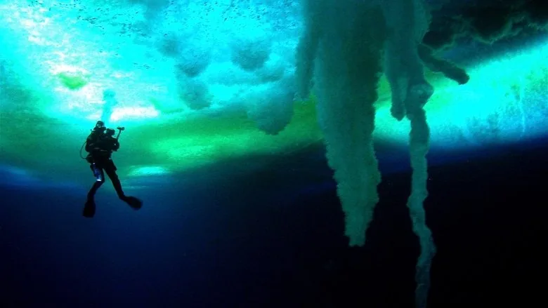 Encounters at the End of the World sahne 1