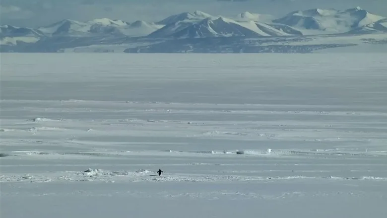 Encounters at the End of the World sahne 2