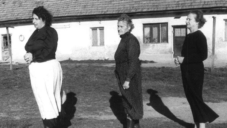 Rüzgar sahne 1