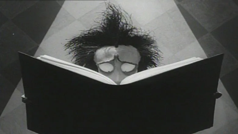 Vincent sahne 1